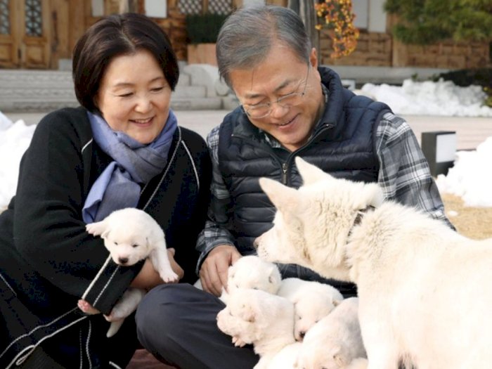 Permintaan Semakin Menurun, Korea Selatan Pertimbangkan Larangan Konsumsi Daging Anjing
