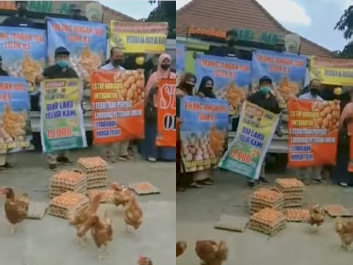 Picu Kerumunan, Aksi Peternak yang Bagi-bagi Telur Gratis di Blitar Raya Dibubarkan Polisi