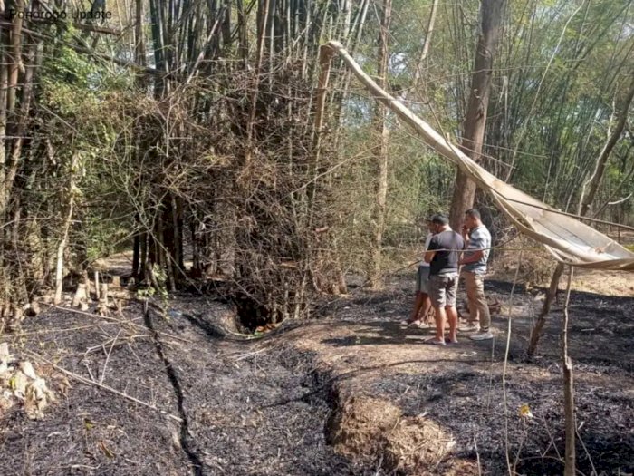 Seorang Nenek Tewas Terpanggang Bara Api saat Bersihkan Tanaman Ladang Bambu di Ponorogo