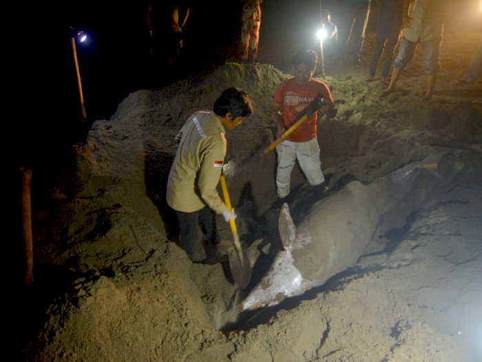FOTO: Lumba-lumba Mati Terdampar di Padang