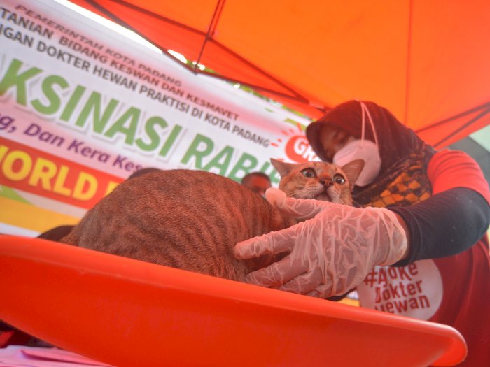 FOTO: Vaksin Rabies Gratis di Padang