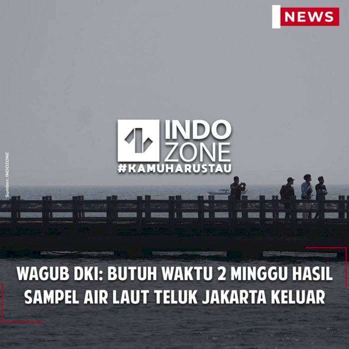 Wagub DKI: Butuh Waktu 2 Minggu Hasil Sampel Air Laut Teluk Jakarta Keluar