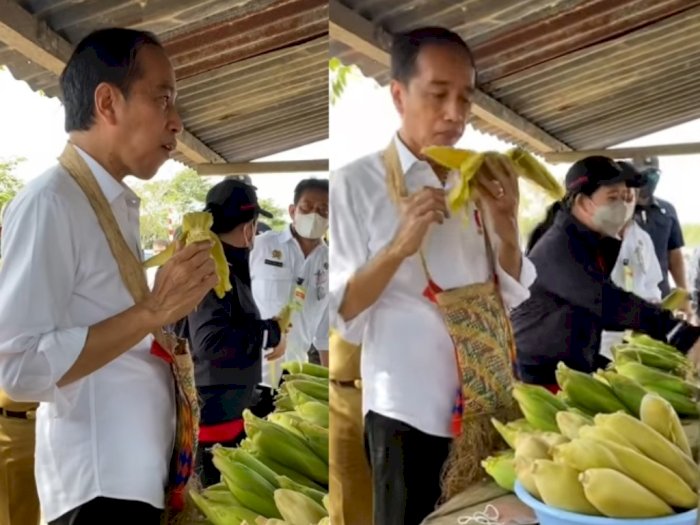 Ditemani Puan dan Mentan, Jokowi Asyik Makan Jagung di Pinggir Jalan