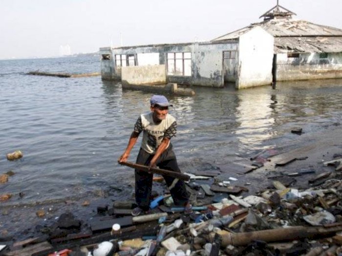 Jakarta dan Pantura Terancam Tenggelam, BRIN: Para Ahli Harus Berikan Solusi