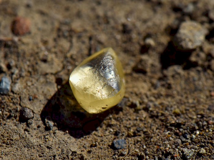 Wih, Pasangan Ini Berhasil Temukan Berlian 4,38 Karat di Taman Nasional Arkansas!