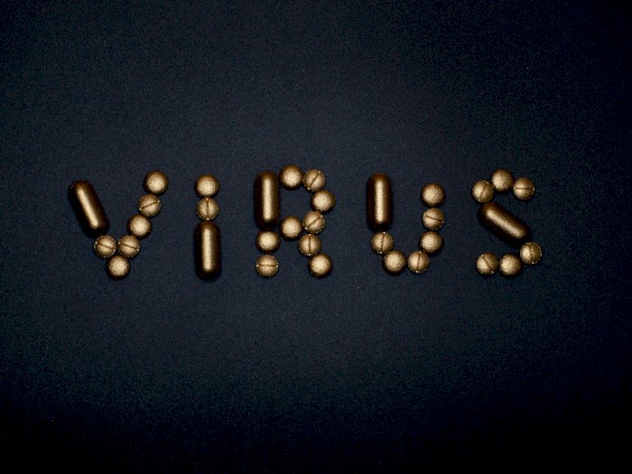 Mungkinkah Virus Yezo Asal Jepang Sudah Tiba di RI?