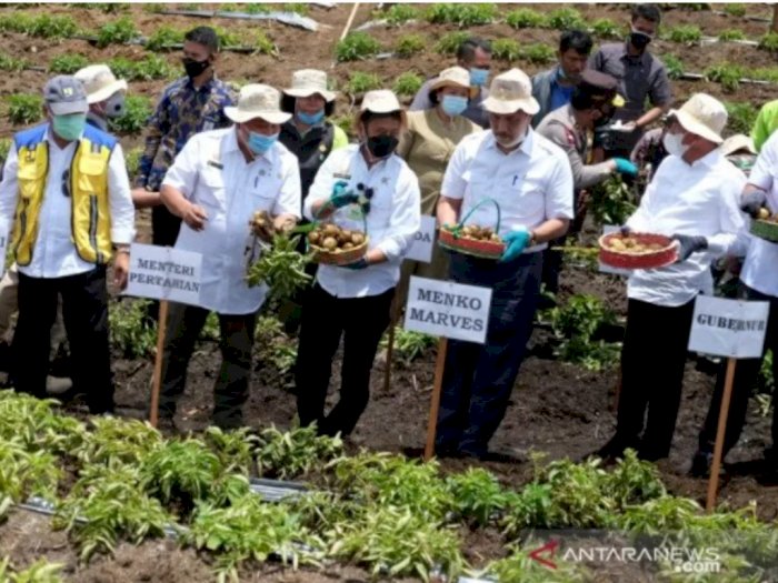 Pengamat  Pertanian Soroti Bantuan Kementan untuk Food Estate di Humbahas: Kami Apresiasi 