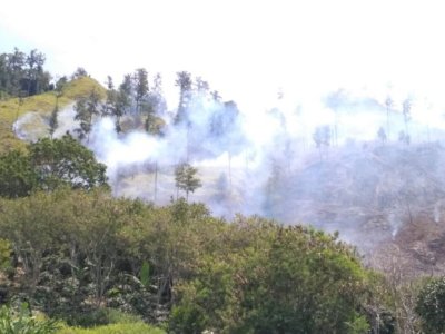 BPBA Sebut Api yang Hanguskan 25 Hektare Hutan Lindung di Aceh Tengah Sudah Padam