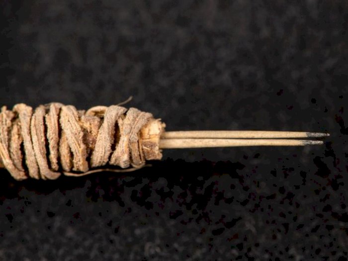 Arkeolog Berhasil Menemukan Alat Tato Berusia 2.000 Tahun