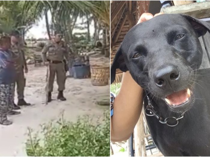 Pilu Anjing 'Canon' Diduga Disiksa sampai Mati oleh Satpol PP Aceh, Atas Nama Wisata Halal