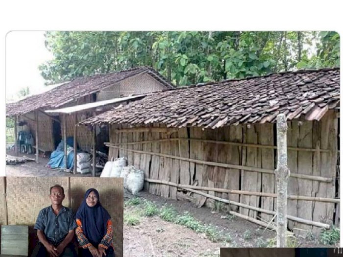 Pilu Guru Honorer di Ngawi Tinggal Satu Rumah dengan Kambing, Bergaji Rp300 Ribu Per Bulan