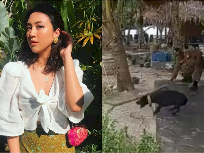 Sherina Kecewa ke Kasatpol PP Aceh Singkil yang Bantah Anjing Canon Mati karena Disiksa