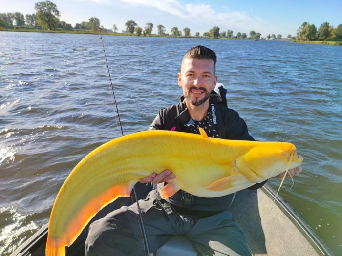 Pemancing Profesional Ini Berhasil Menangkap Ikan Lele Berwarna Kuning di Belanda