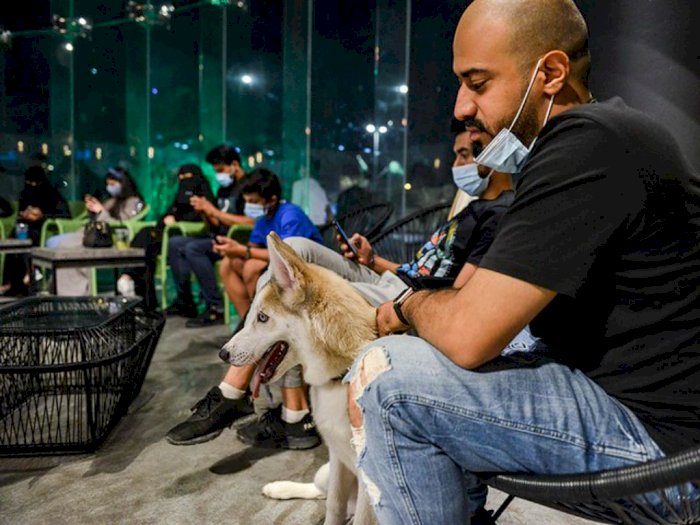 Arab Saudi Kini Kehadiran Cafe Anjing, Diberi Nama The Barking Lot