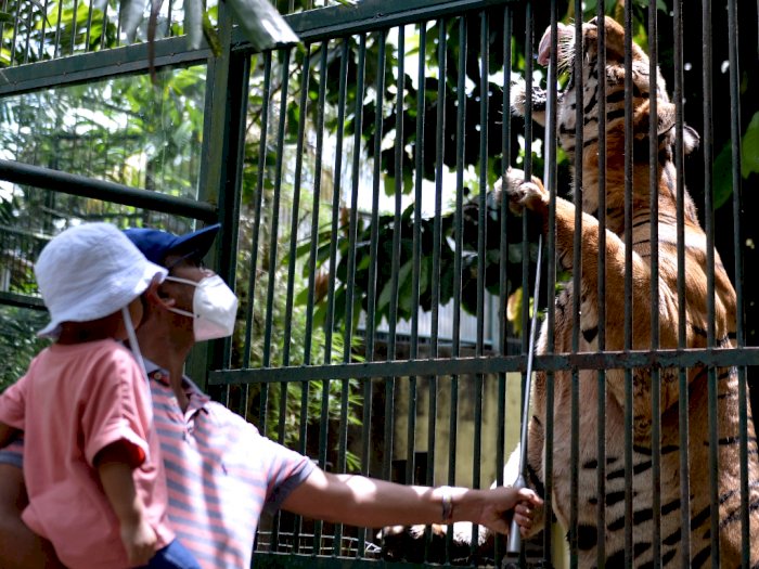 Berwisata ke Bali Zoo, Berikut Foto-fotonya