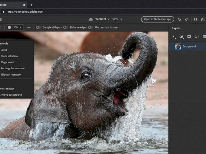 Adobe Rilis Photoshop dan Ilustrator Versi Simpel yang Bisa Diakses dari Web