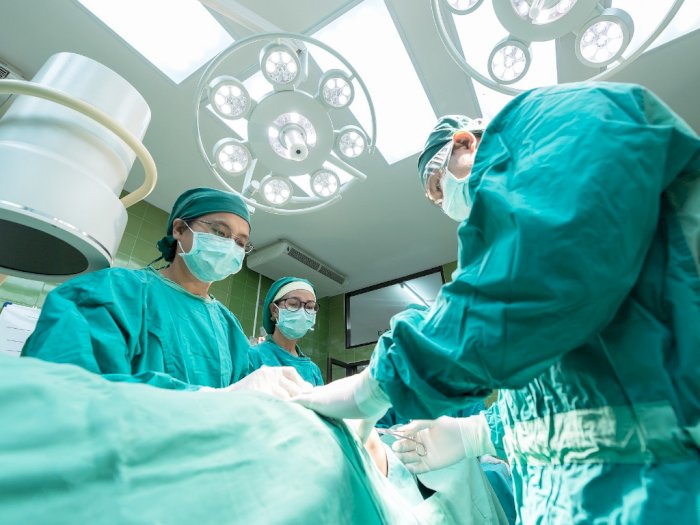 Ginjal Babi Sukses Dicangkok ke Manusia, Ini Sederet Fakta Menarik Xenontransplantasi