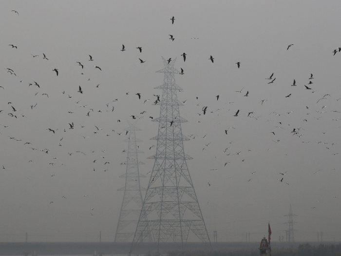 Jadi Negara Pencemar, India Enggan Tetapkan Target Netral Karbon