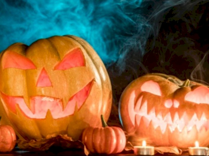 Mengapa Labu Selalu Identik dengan Halloween? Inilah Asal Muasalnya