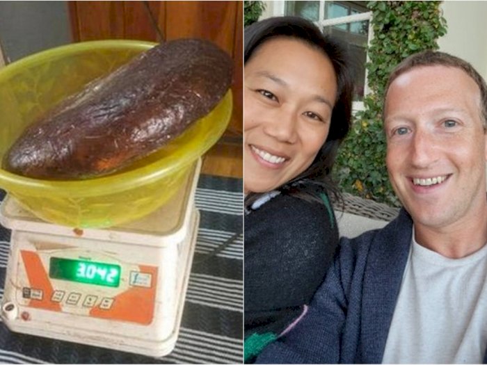 POPULER: Pria Hendak Jual Muntahan Paus Ambergris & Mark Zuckerberg Ajari Anaknya Coding 