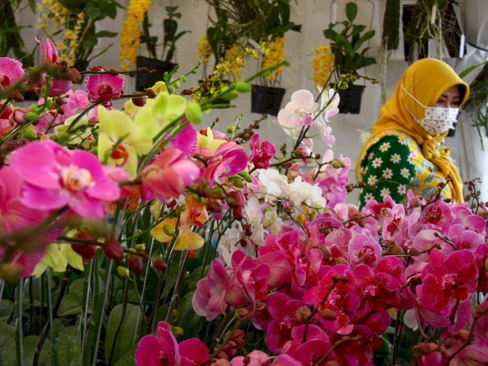 Pameran Anggrek 'Batu Orchid Week', Berikut Foto-fotonya