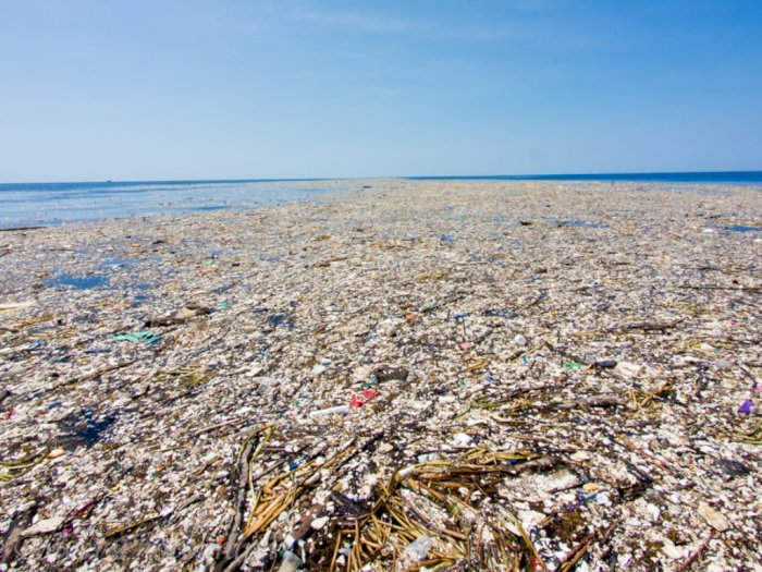 Mengenal Great Pacific Garbage Patch, Perputaran Partikel Sampah Laut di Samudra Pasifik