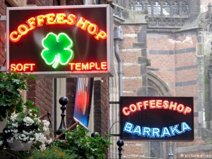 Larangan Turis Asing di Amsterdam Membuat Pengelola Kafe Ganja Panik