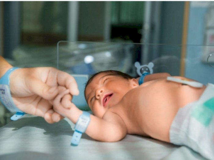 Ingin Program Bayi Tabung? Dokter Ingatkan Pentingnya Menilai Cadangan Ovarium