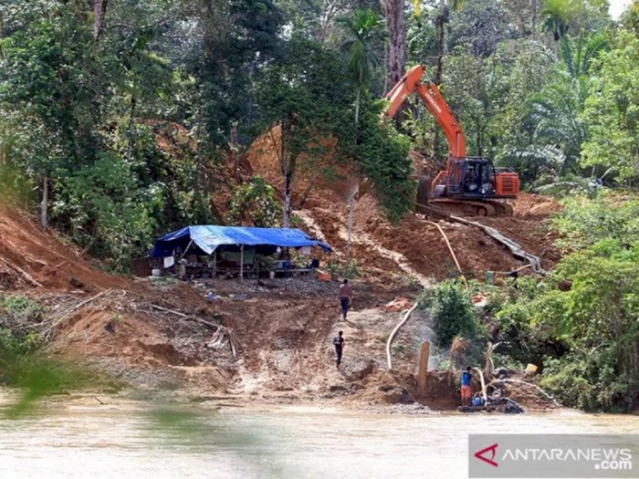 Miris, Lebih dari 2 Ribu Hektar Hutan di Aceh Rusak Akibat Tambang Emas Ilegal