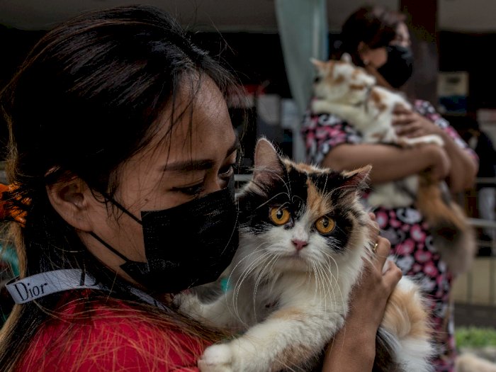 Vaksinasi Rabies Gratis di Jakarta, Berikut Foto-fotonya