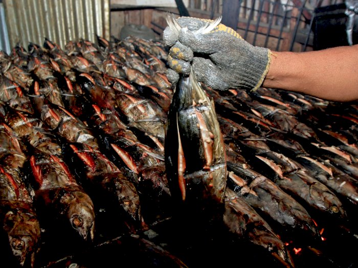 Pasokan Menurun, Harga Ikan Cakalang Asap Papua Naik, Ini Foto-fotonya