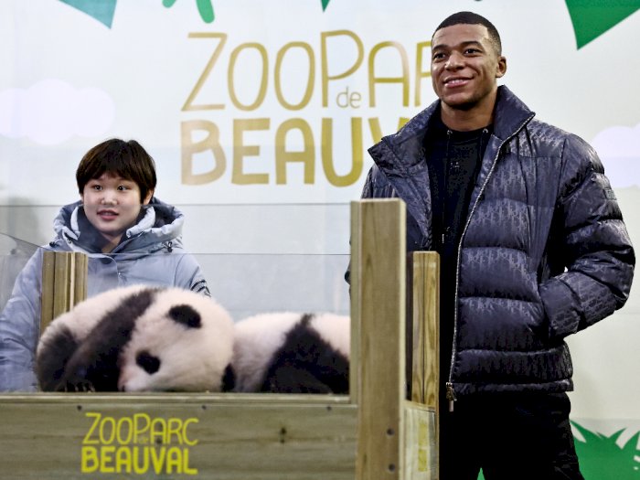 Potret Kylian Mbappe Jadi Ayah Baptis 2 Anak Panda yang Lahir di Kebun Binatang Prancis