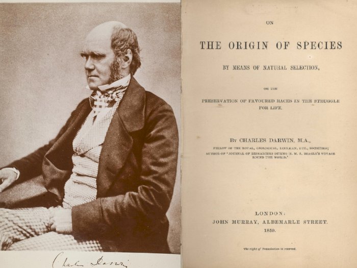 Sejarah Buku 'The Origin of Species', Teori Charles Darwin soal Evolusi Manusia dari Kera