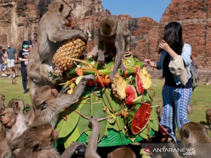 Setelah Lama Tutup Karena Pandemi, Thailand Gelar Kembali Festival Monyet Sambut Wisatawan
