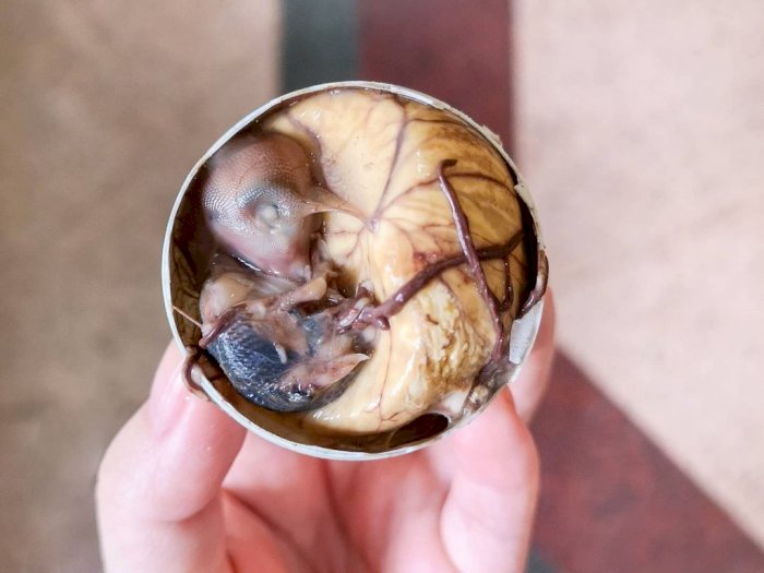 Mengenal Balut, Telur Isi Embrio Bebek Khas Filipina yang Membuatmu Bergidik