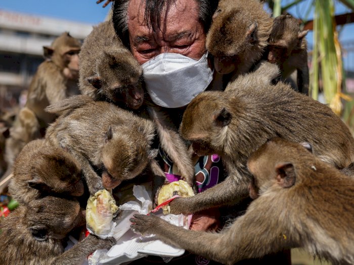 Festival Monyet Tahunan di Thailand, Berikut Foto-fotonya