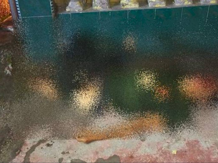 Diduga Dibunuh, Seorang Pria Ditemukan Tewas di Depan Ruko Gypsum Medan Johor