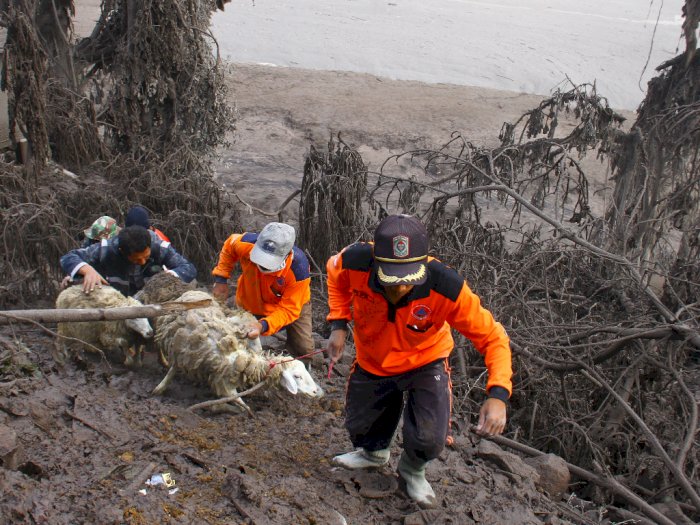 Menko PMK akan Koordinasikan Kementerian dan Lembaga untuk Tangani Erupsi Gunung Semeru