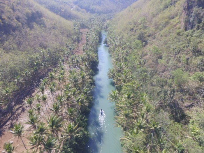 Indonesia Ternyata Punya Sungai Amazon! Letaknya di Jawa Timur