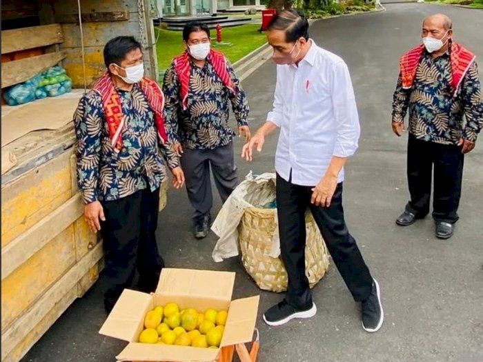 Dapat Oleh-oleh Satu Truk Jeruk dari Liang Melas Datas, Jokowi Ucapkan Terima Kasih