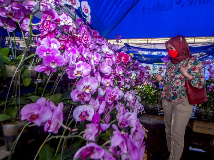 Meratus Orchid Show Ke-9, Berikut Foto-fotonya