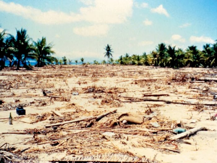 Mengenang Gempa dan Tsunami Flores 12 Desember 1992, Ribuan Orang Tewas dan Hilang