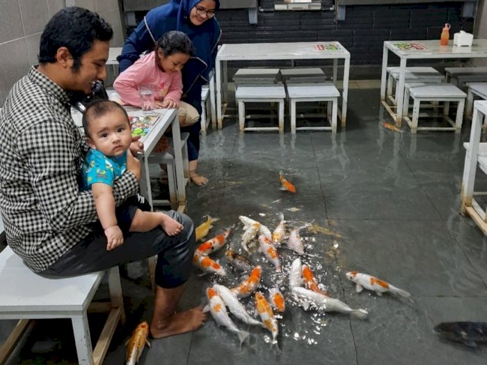 Sensasi Makan Rujak di Dalam Kolam Ikan Koi, Kamu Berani Coba?