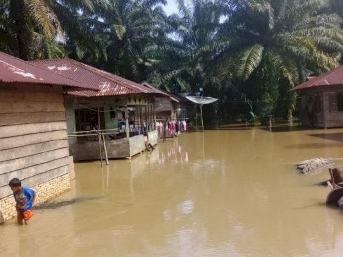 Sungai Batang Toru Tapsel Meluap, Puluhan Rumah Warga Terendam Banjir