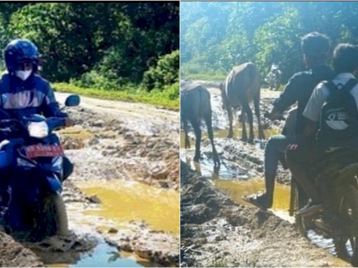 Beredar Foto Jalan Rusak di Pulau Enggano, Kades Sebut Tak Pernah Diperhatikan Pemerintah 