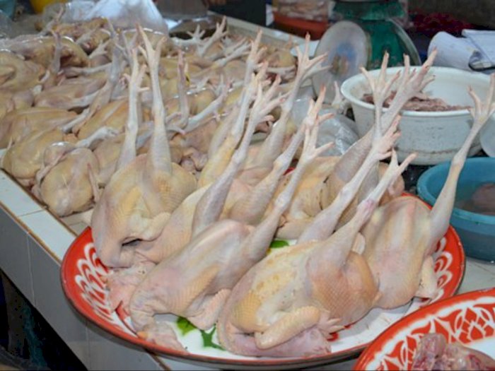 Gegara Ikan Mahal, Harga Daging Ayam Ras di Sumut Tembus Rp35 Ribu per Kg