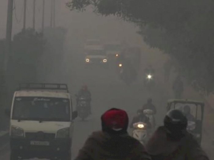India Dilanda Kabut Tebal dan Cuaca Dingin yang Ekstrem