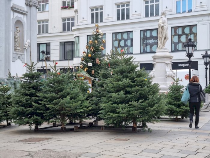 Lockdown Dibuka, Penjualan Pohon Natal di Austria Meningkat Tajam 