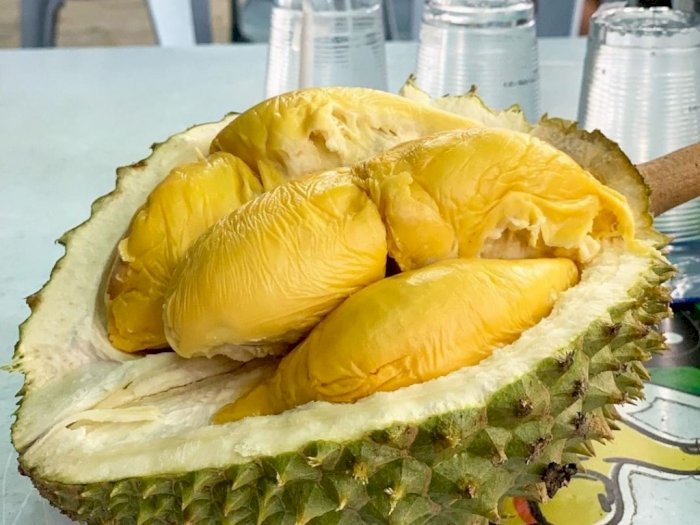 Begini 3 Cara Simpan Durian Agar Awet untuk Oleh-oleh dari Medan