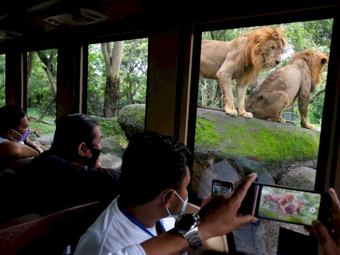Peningkatan Kunjungan Wisatawan di Kebun Binatang Bali, Berikut Foto-fotonya